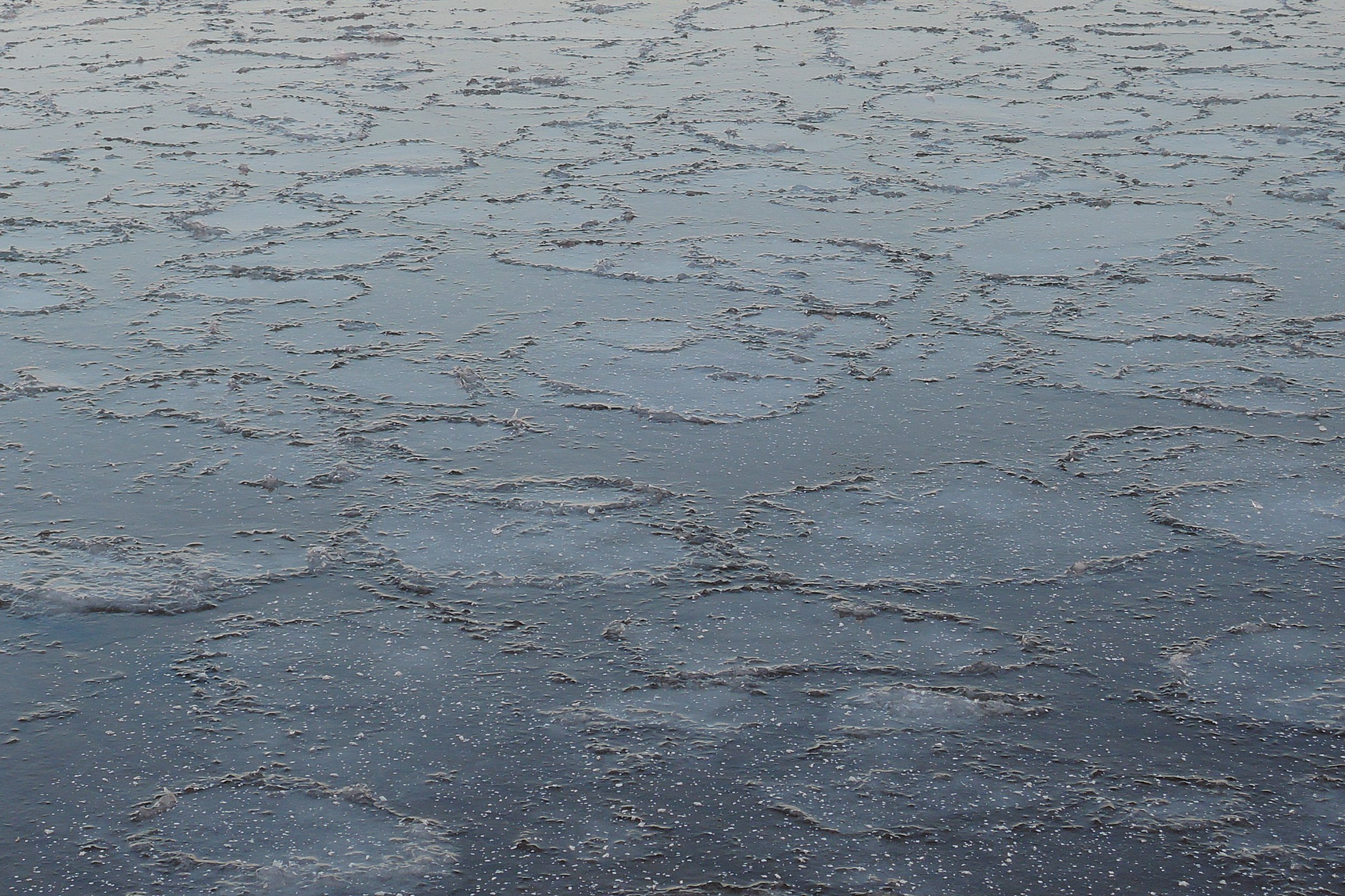 В Саратове Волга покрылась ледяными блинчиками